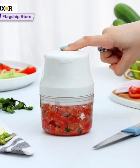 Mini Electric Food Chopper
